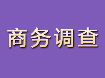 毕节商务调查